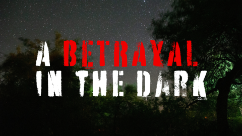 A Betrayal In The Dark